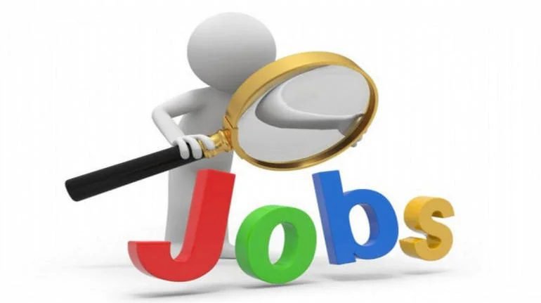 Best Tips to get a government job or Sarkari Naukri in India 2 Sarkari Naukri in india