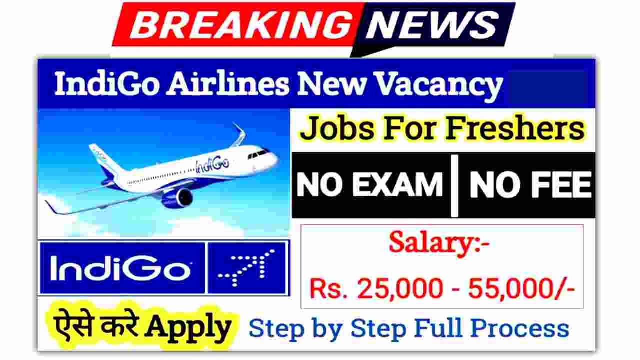 Indigo Airlines Jobs Vacancy 2025- Apply Online for Various Freshers Airport Jobs 2 Indigo Airlines Jobs Vacancy 2025